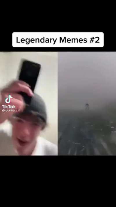 Looks like he likes it