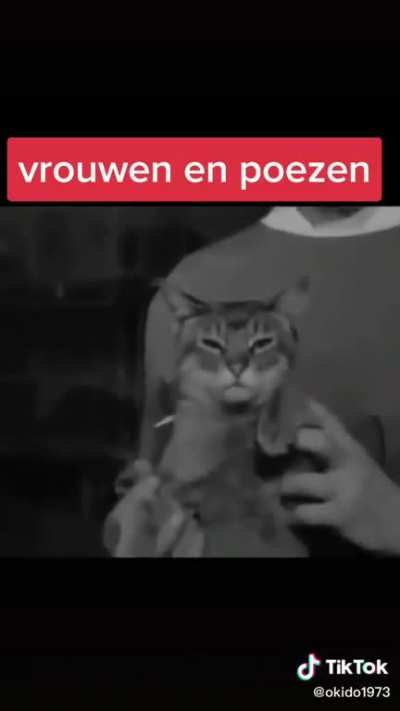 Goe weekend 👍 nie teveel spelen met de poes 🙃