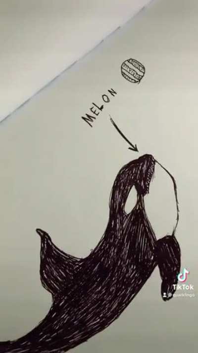 Did you know about killer whales 🤔