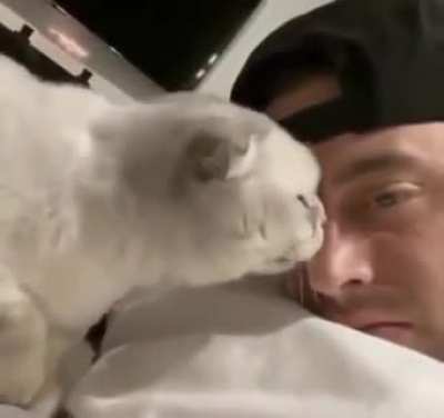 Cat doesn't like tongue