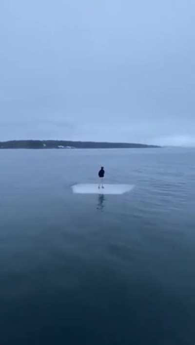 Floating away on an iceberg