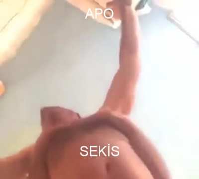 Apo Sekis (O kadar m&uuml;stehcen olmadığı i&ccedil;in NSWF koymadım. Hi&ccedil;bir m&uuml;stehcen yeri g&ouml;z&uuml;km&uuml;yor &ccedil;&uuml;nk&uuml;.)