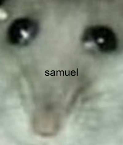 Gosh I love mice