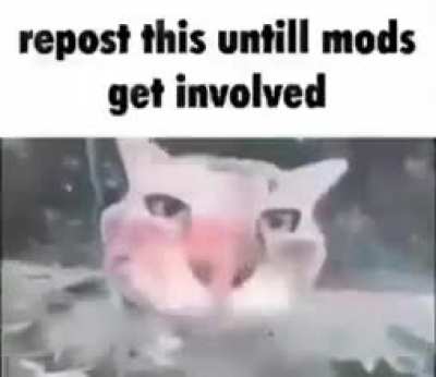 rule