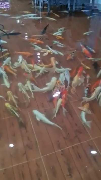MAYBE MAYBE MAYBE