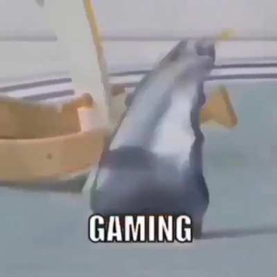 It's gamer time