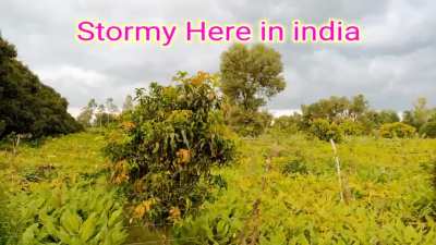 My First post my promise to regularly feed you through the Indian permaculture