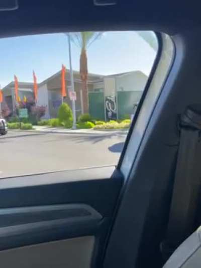 Lion shot by LVMPD a few days ago