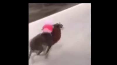 Peppa pig montando un perro a toda velocidad con musica de fondo, solo eso XD