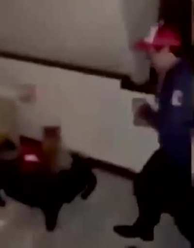 gringos