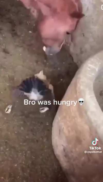 He was hungry
