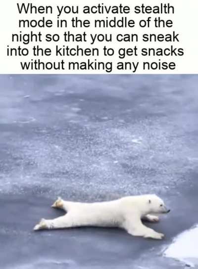 Smart polar bear