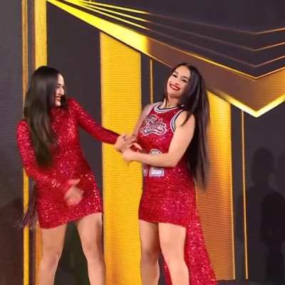 Brie &amp;amp; Nikki Bella