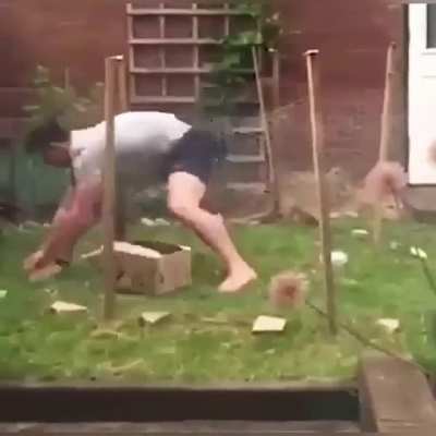 This rabbit knows how to mess with hoomans😂