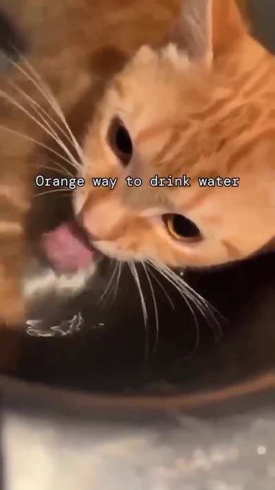 Sluuuurp