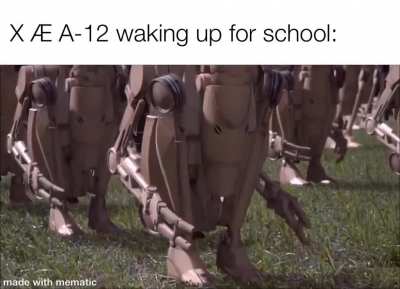 RO-X&AElig; A-12