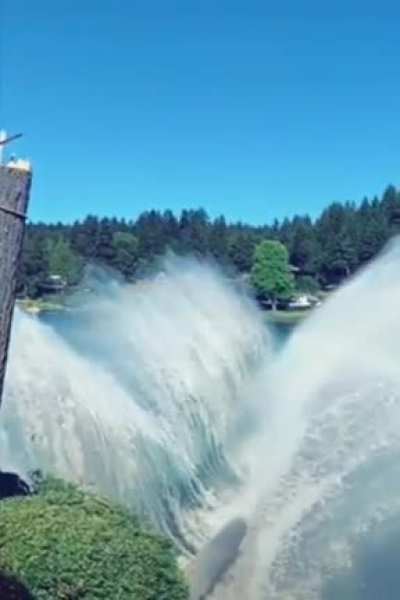 The way how this log splits the water.
