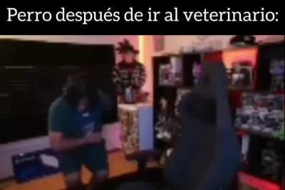 Dog after going to the vet (&Ntilde;)