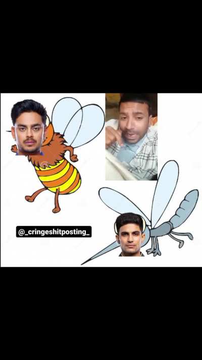 Insect Xl vs ICT 