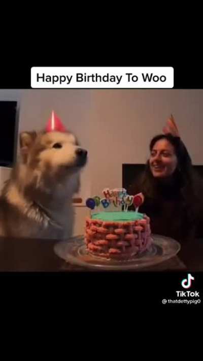Happy Birthday To Woo