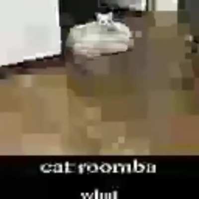 MoldyMemes - Video #2338