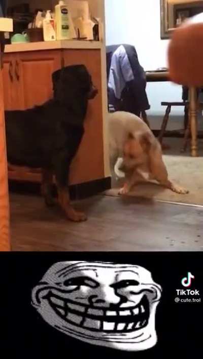 This is so sweet&hellip;