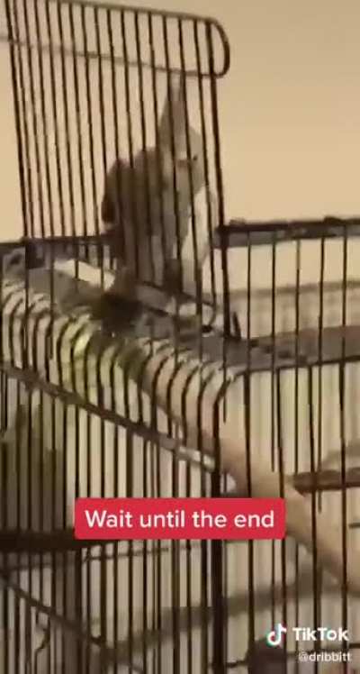 He shouldn&rsquo;t have done it...