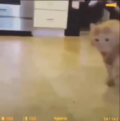 Roll