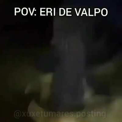 Pota que es feo valpo wn