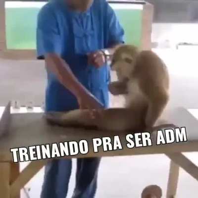 💪💪💪