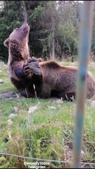 Это чем они там занимаются?