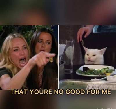 bipolar catto