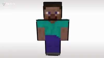 Steve