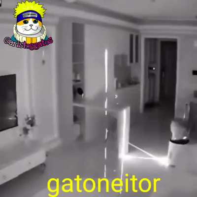 xd