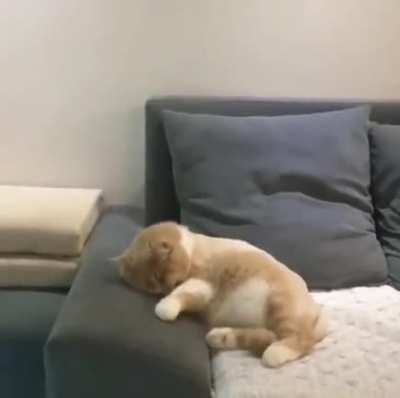 When you crash on your bike in a dream