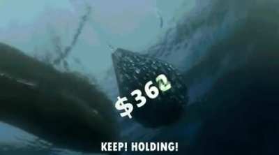 HOLD! DOWN!