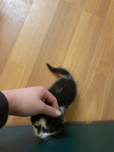 Was told y&rsquo;all might like Rorschach and his... opinions.