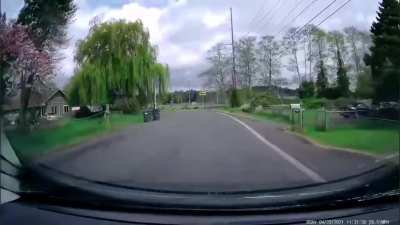 The driver stole this car and took it for a joy ride.