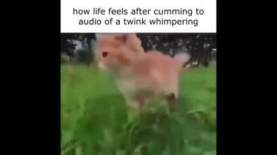 bi_irl