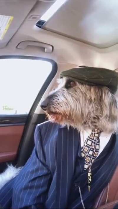 A very dapper gentleman