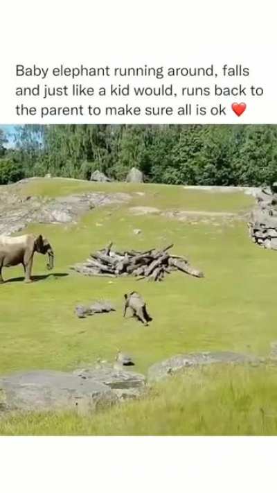 it's a kid for sure