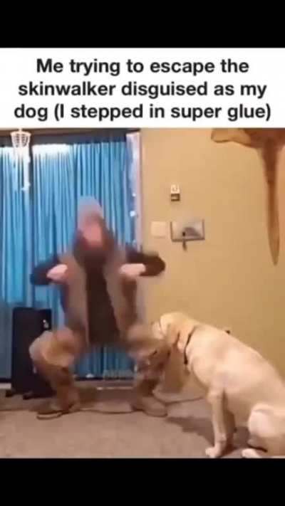 Halp