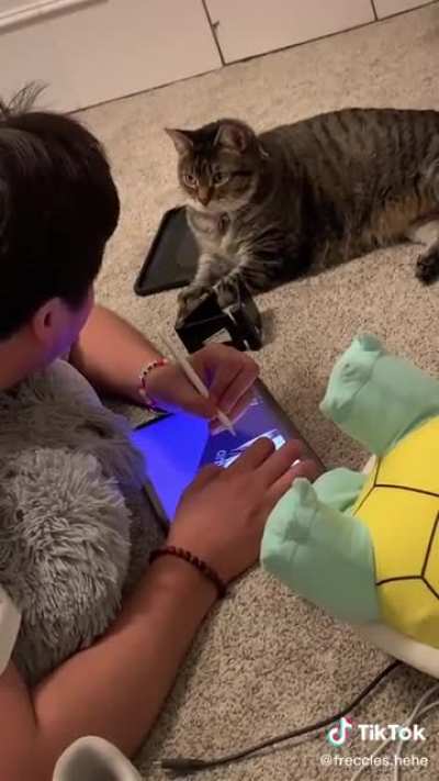 Why&rsquo;d you stop?
