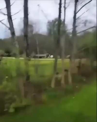 Laughed his ass off