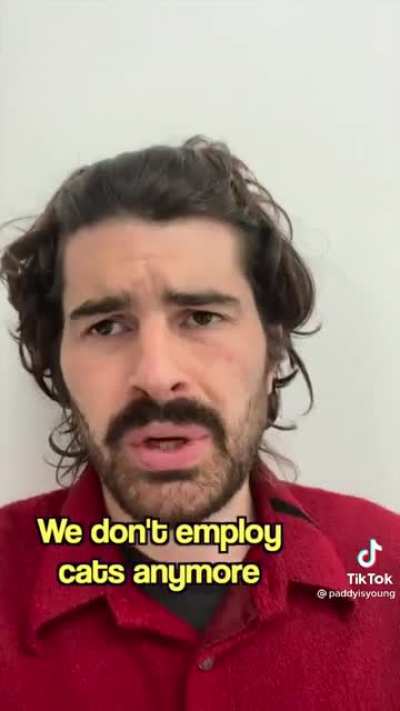 Job interview
