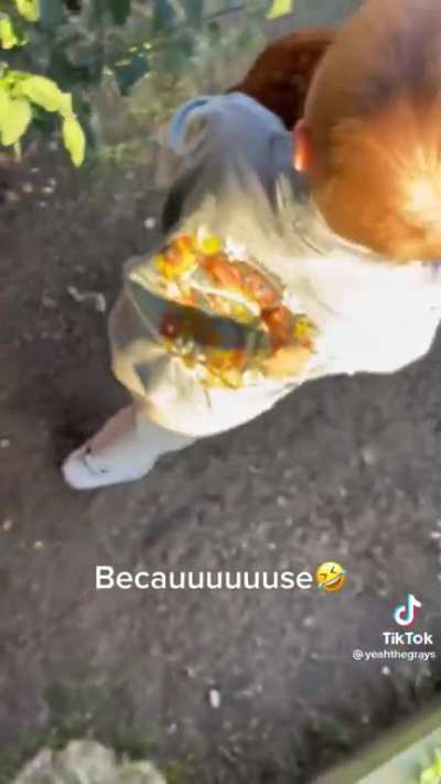 Don&rsquo;t know if this has been shared before but it&rsquo;s just so funny