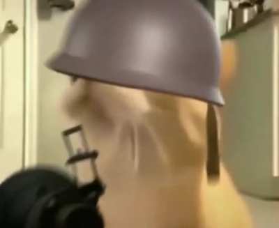 💥💥💥