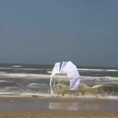 Kinetic wind sculpture !!!