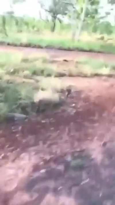 Nah… don’t run now, you gotta learn today