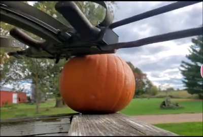 AK-47 vs Pumpkin